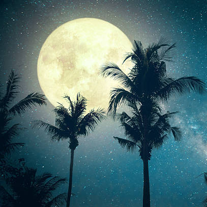 Full Moon Party / Fiesta Luna Llena - logo